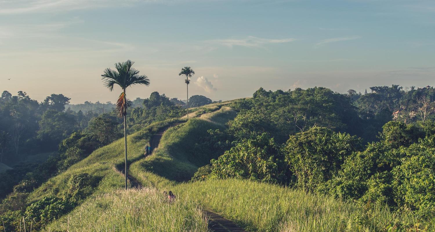 Circuits en Bali