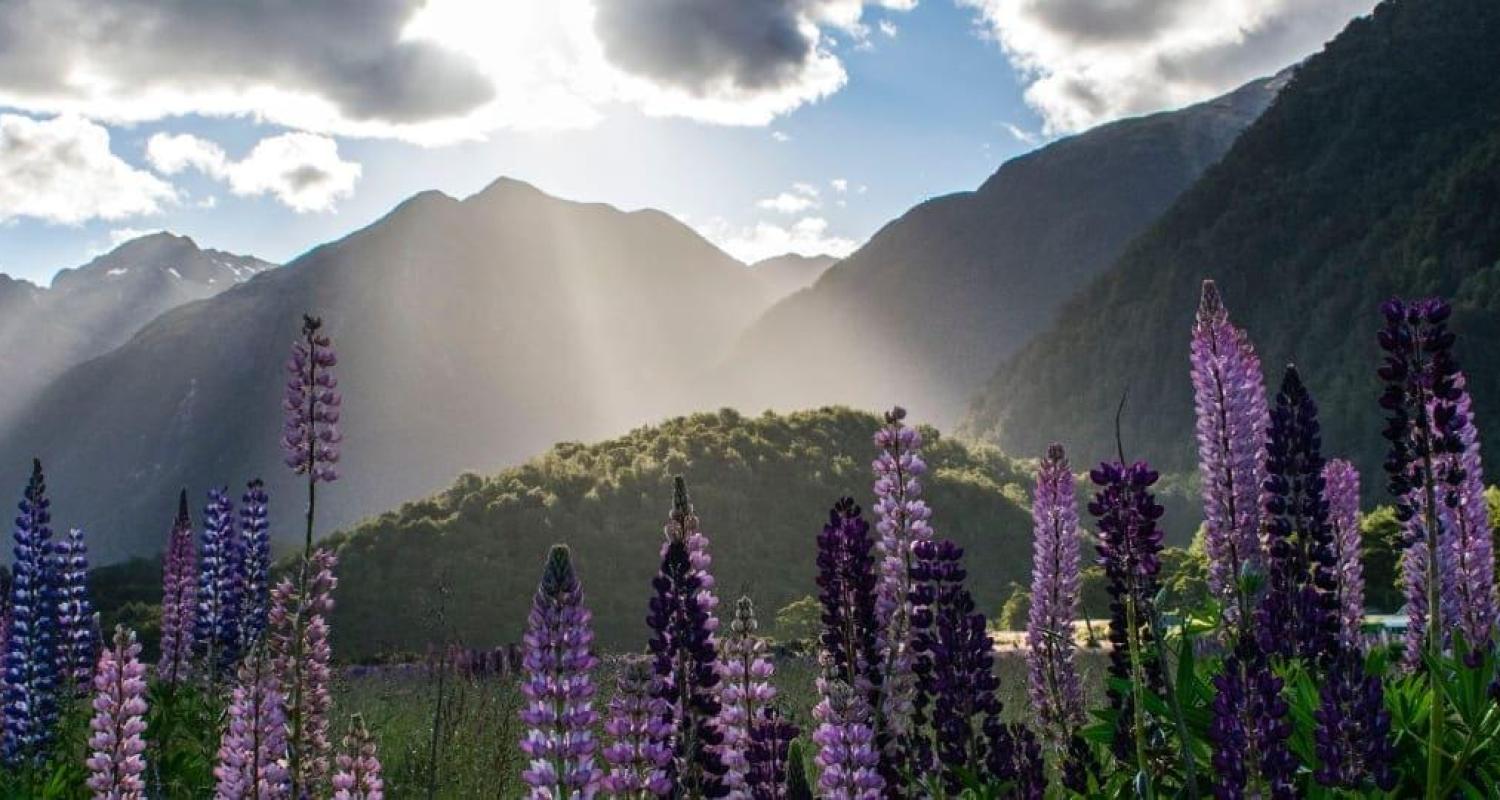 Neuseeland Südinsel Rundreisen