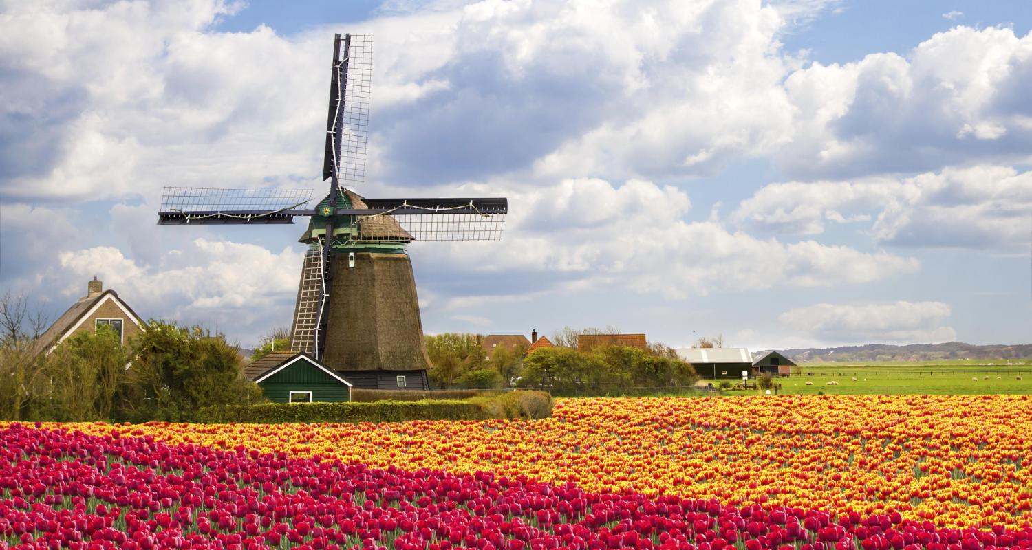 North Holland Tours & Trips