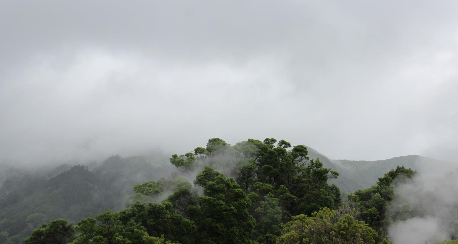 Azores Archipelago Tours & Trips