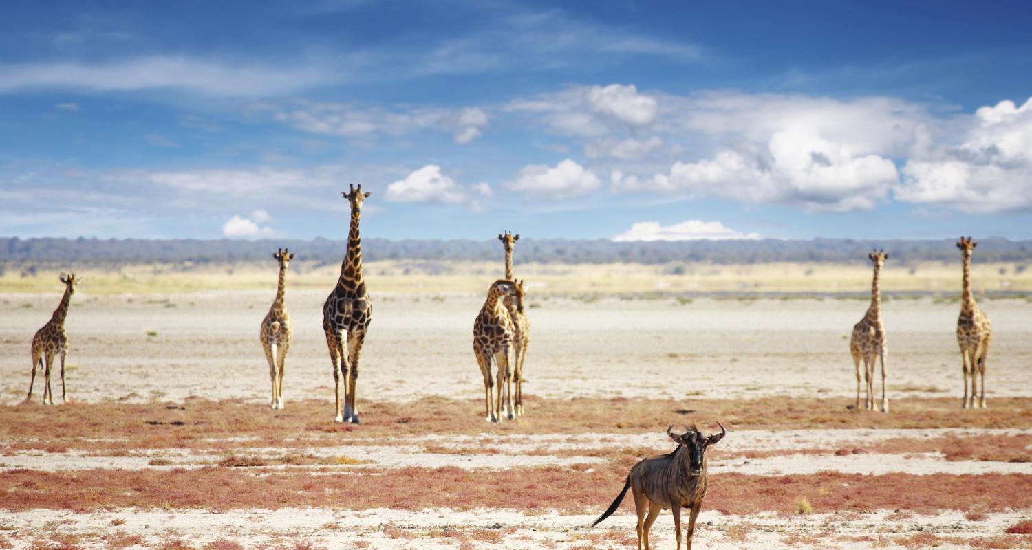 Circuitos por el El Gran Valle del Rift Africano