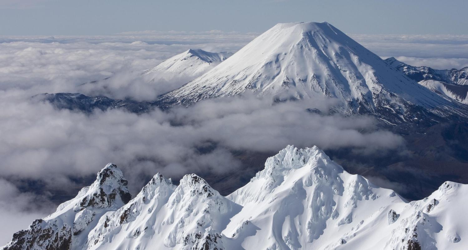 Milford Sound Tours & Trips