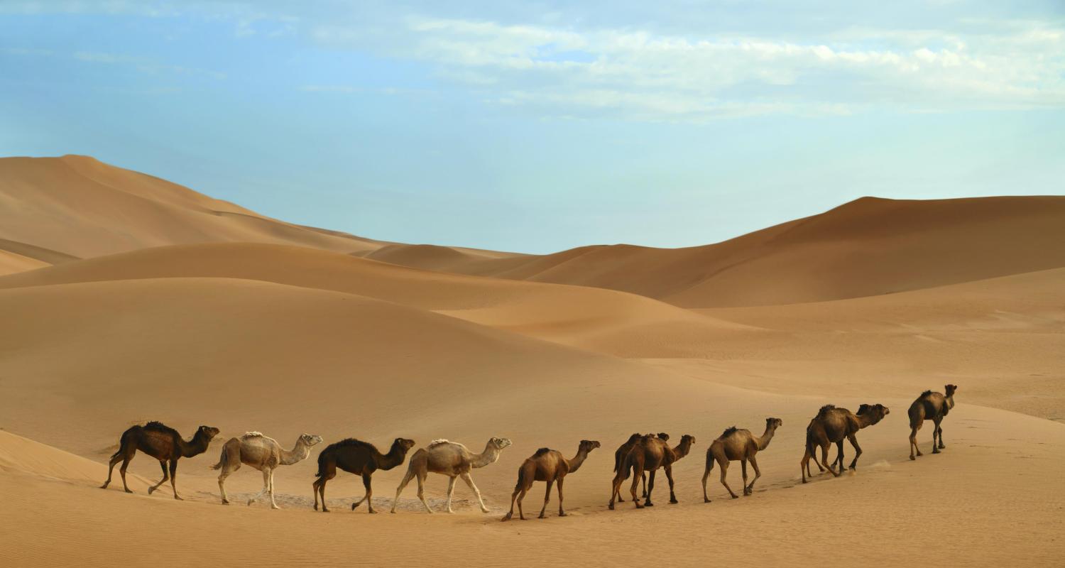 Circuitos por el Desierto del Sahara