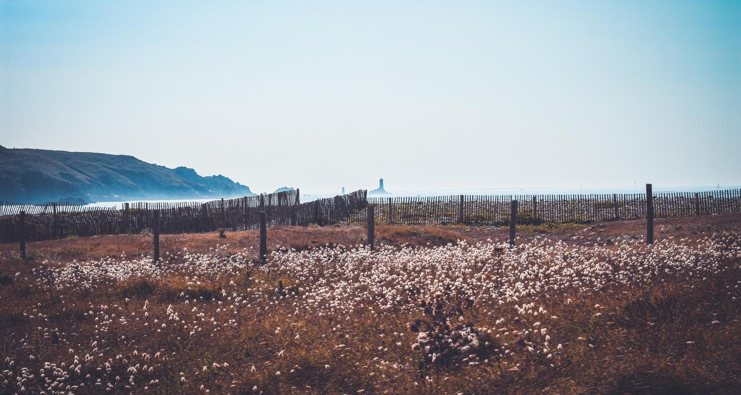 Circuitos por el Beaujolais