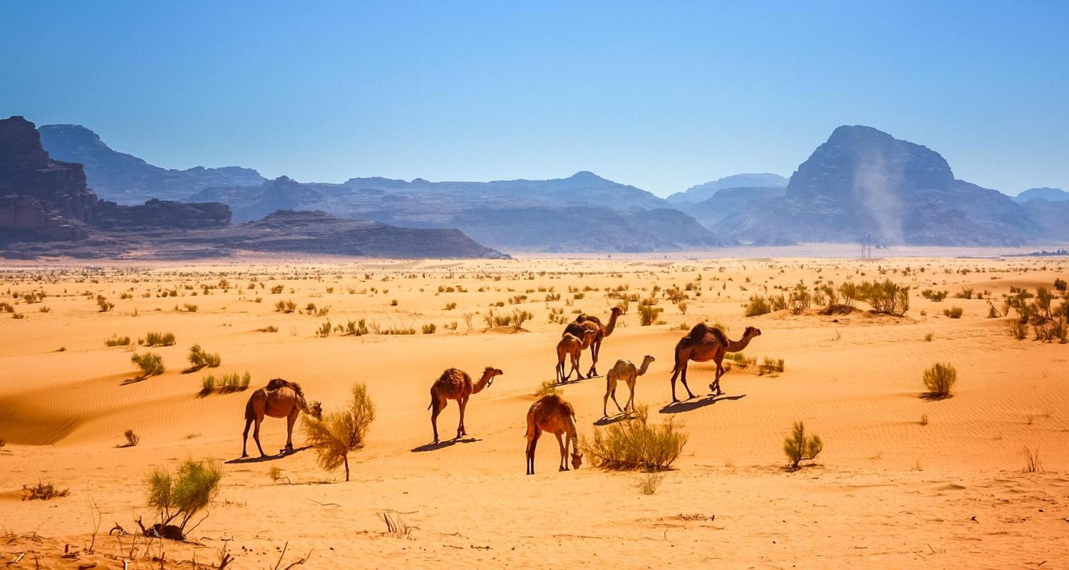 Circuits en Wadi Rum