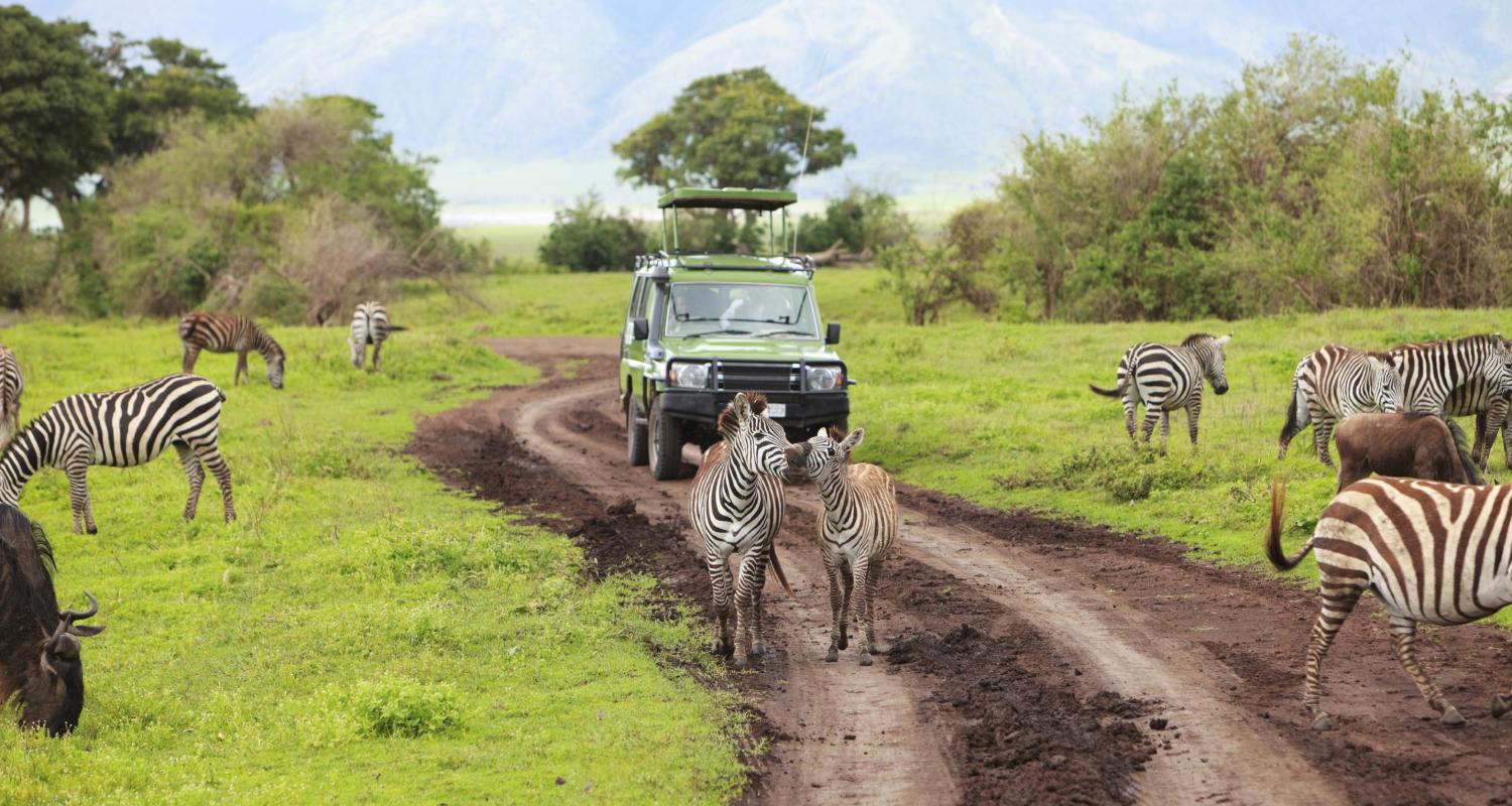 Best Serengeti Safaris