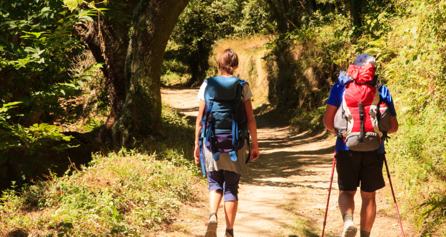 2-Weekse rondreis Spanje