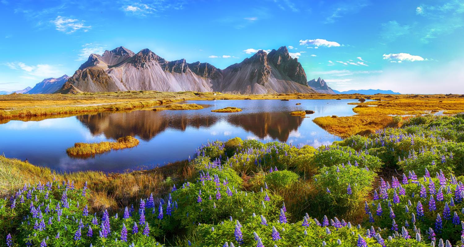 Iceland Tours & Trips