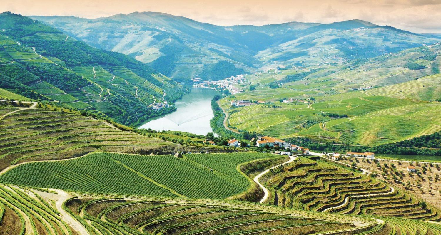 Douro River Cruises