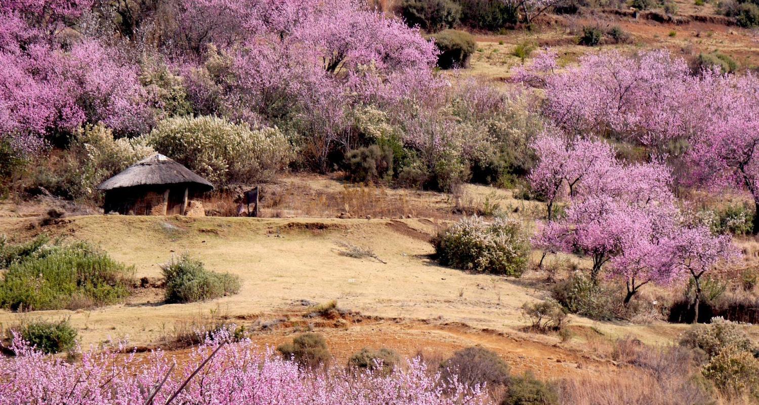 Lesotho Rundreisen