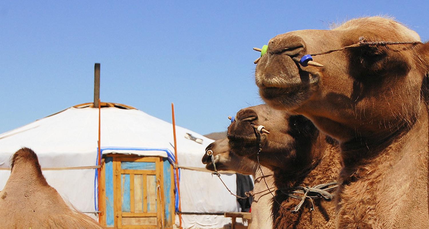 Rundreisen in der Mongolei