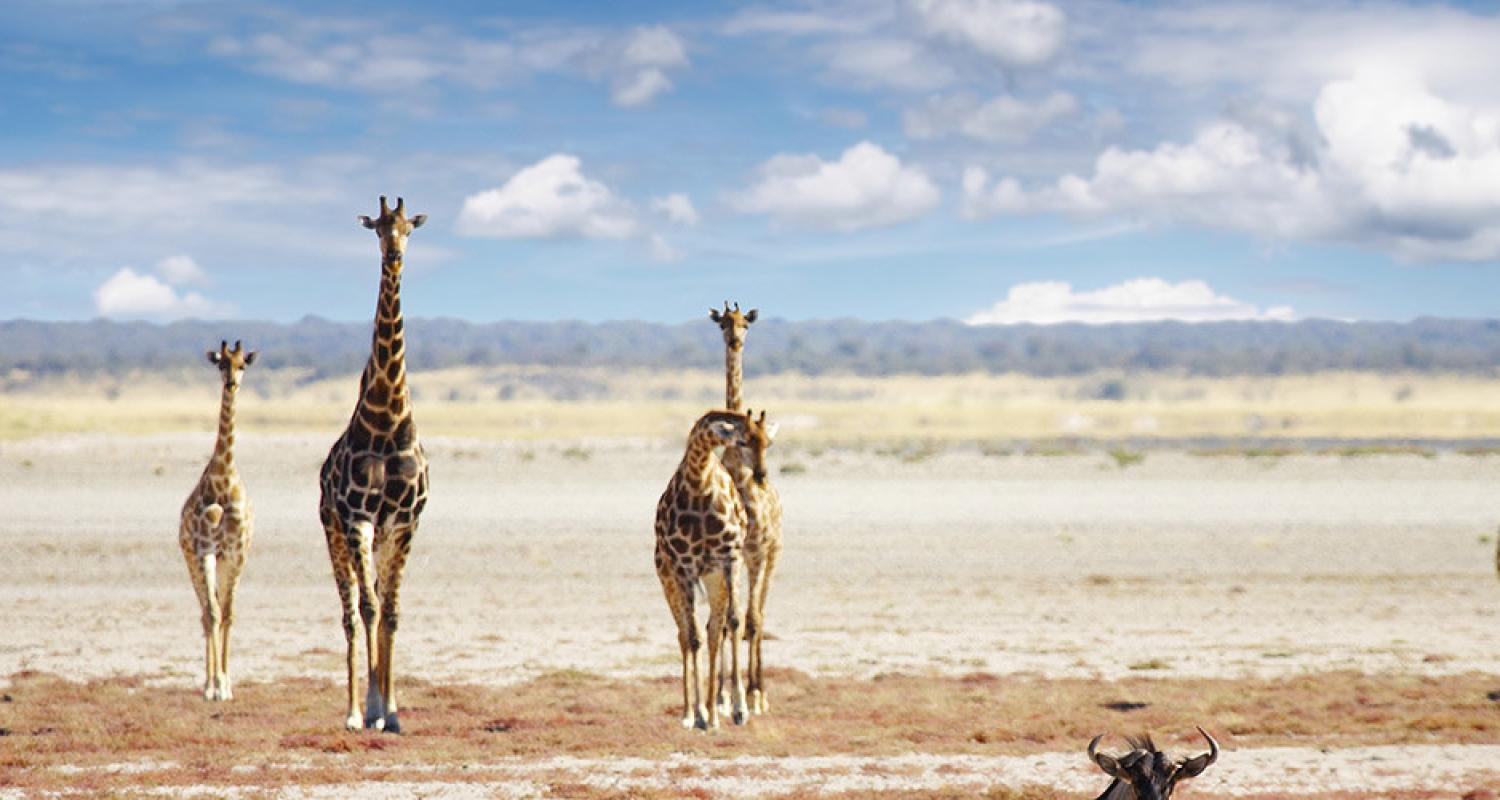 Namibia Tours & Trips