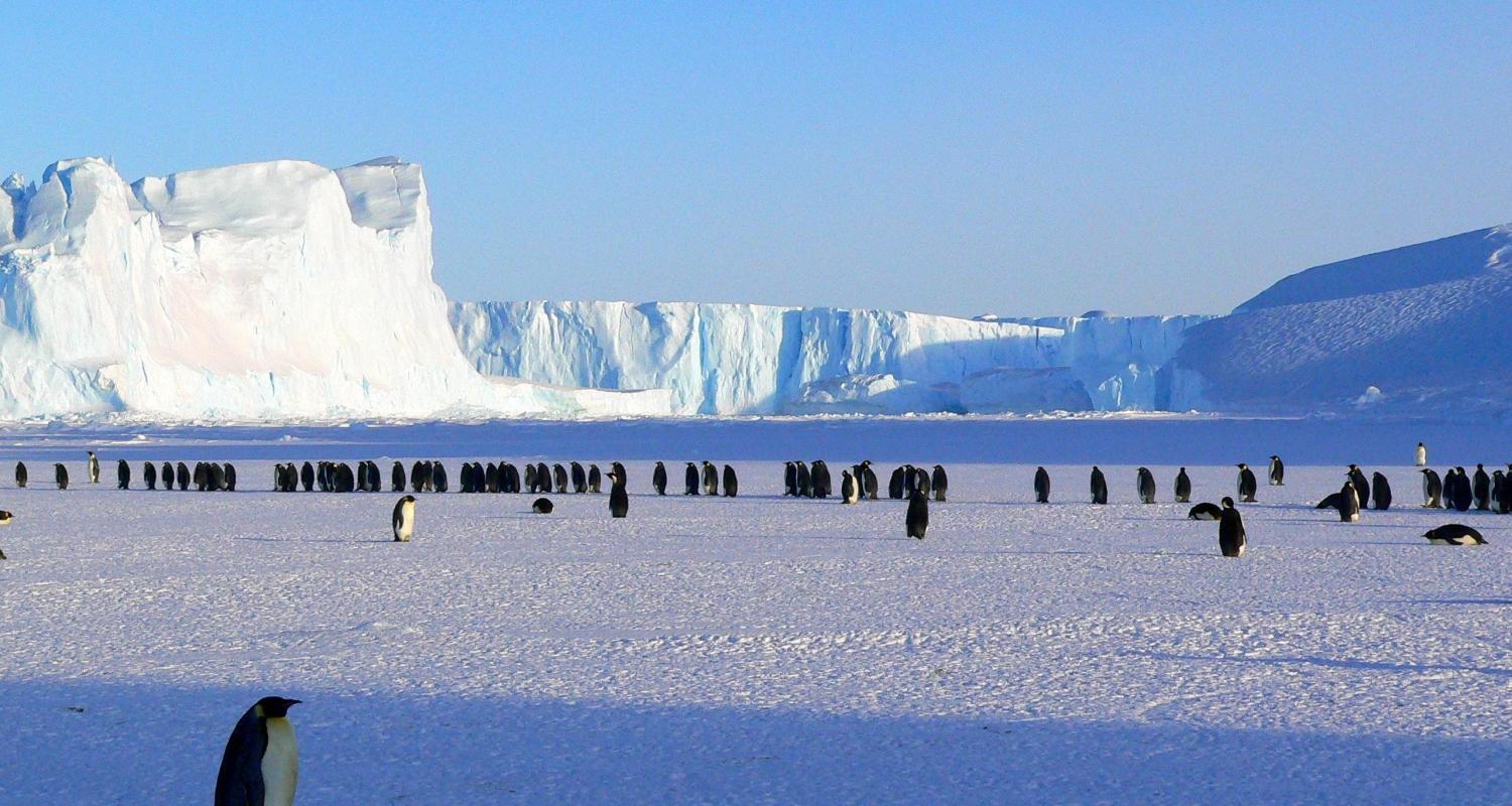 Circuits Antarctique