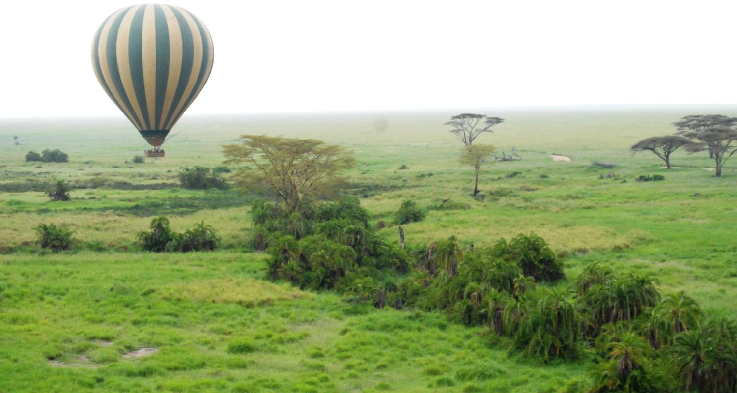 Circuits et voyages en Tanzanie