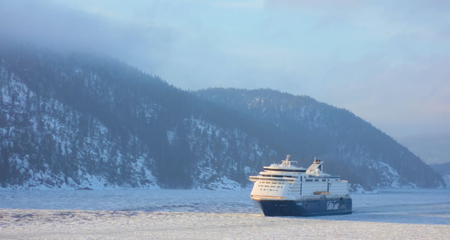 Oceaancruise Rondreizen in de USA