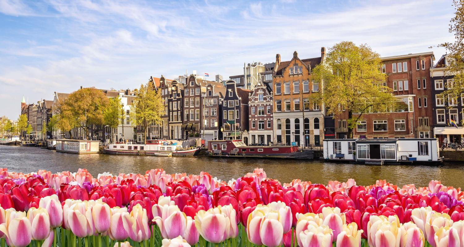 Netherlands Tours & Trips