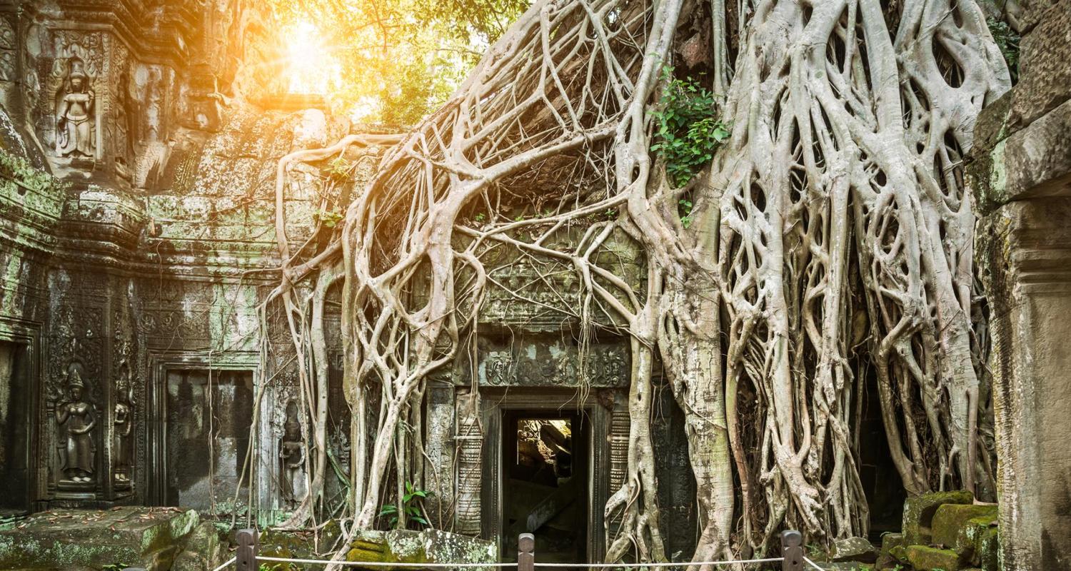 Angkor Wat Tours & Trips