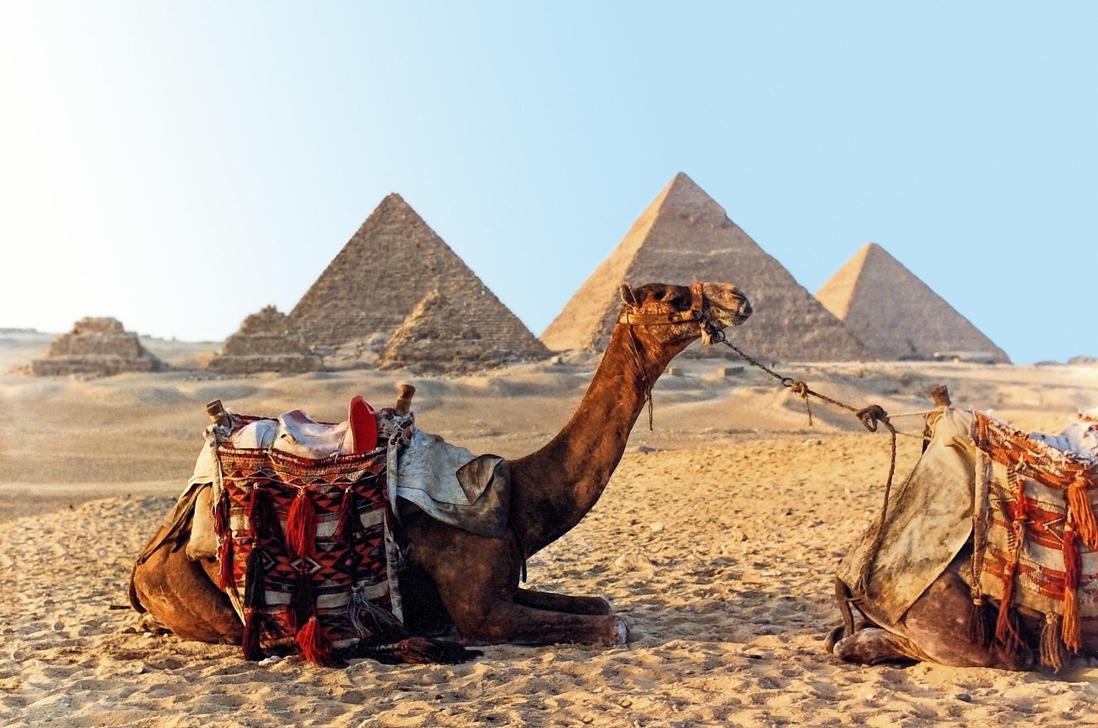 egypt vacation tour