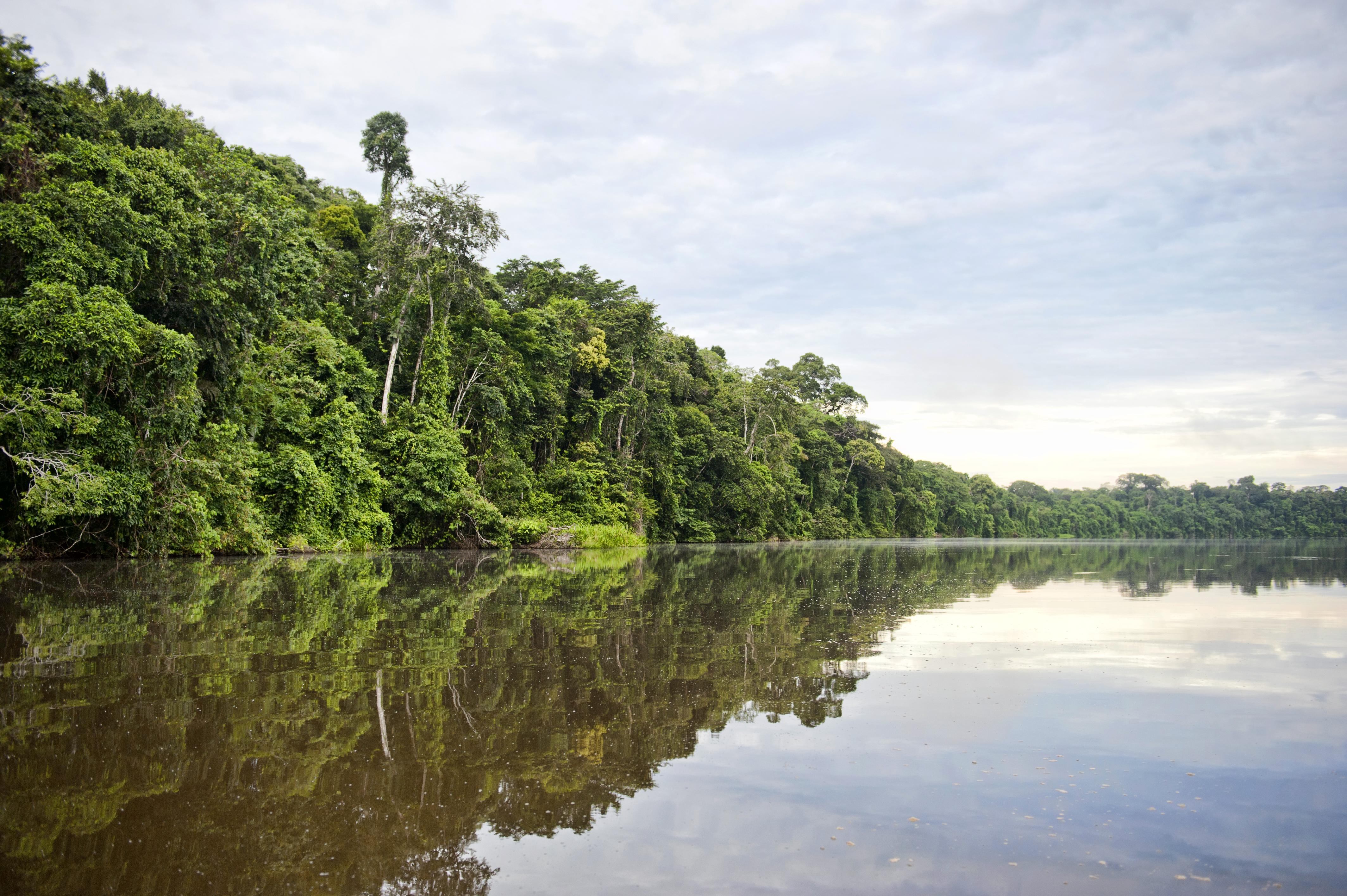 What Is The Amazon River Famous For