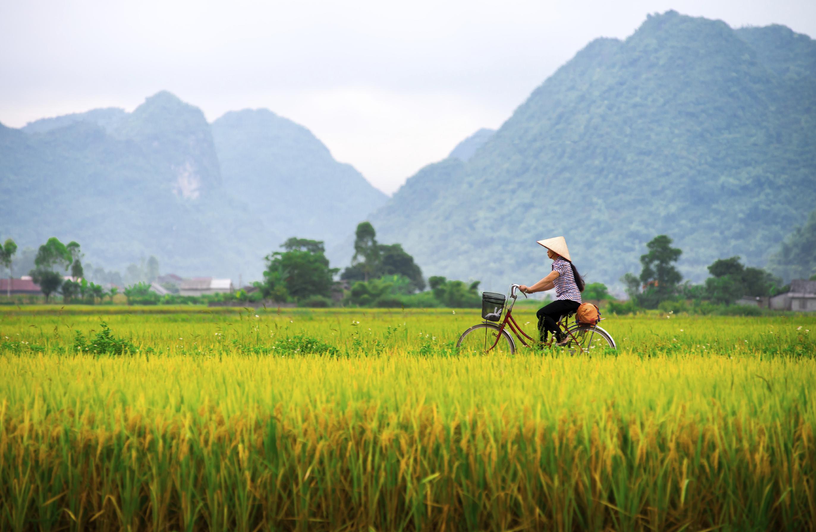 10 Best Southern Vietnam Tours & Vacation Packages 2021 ...