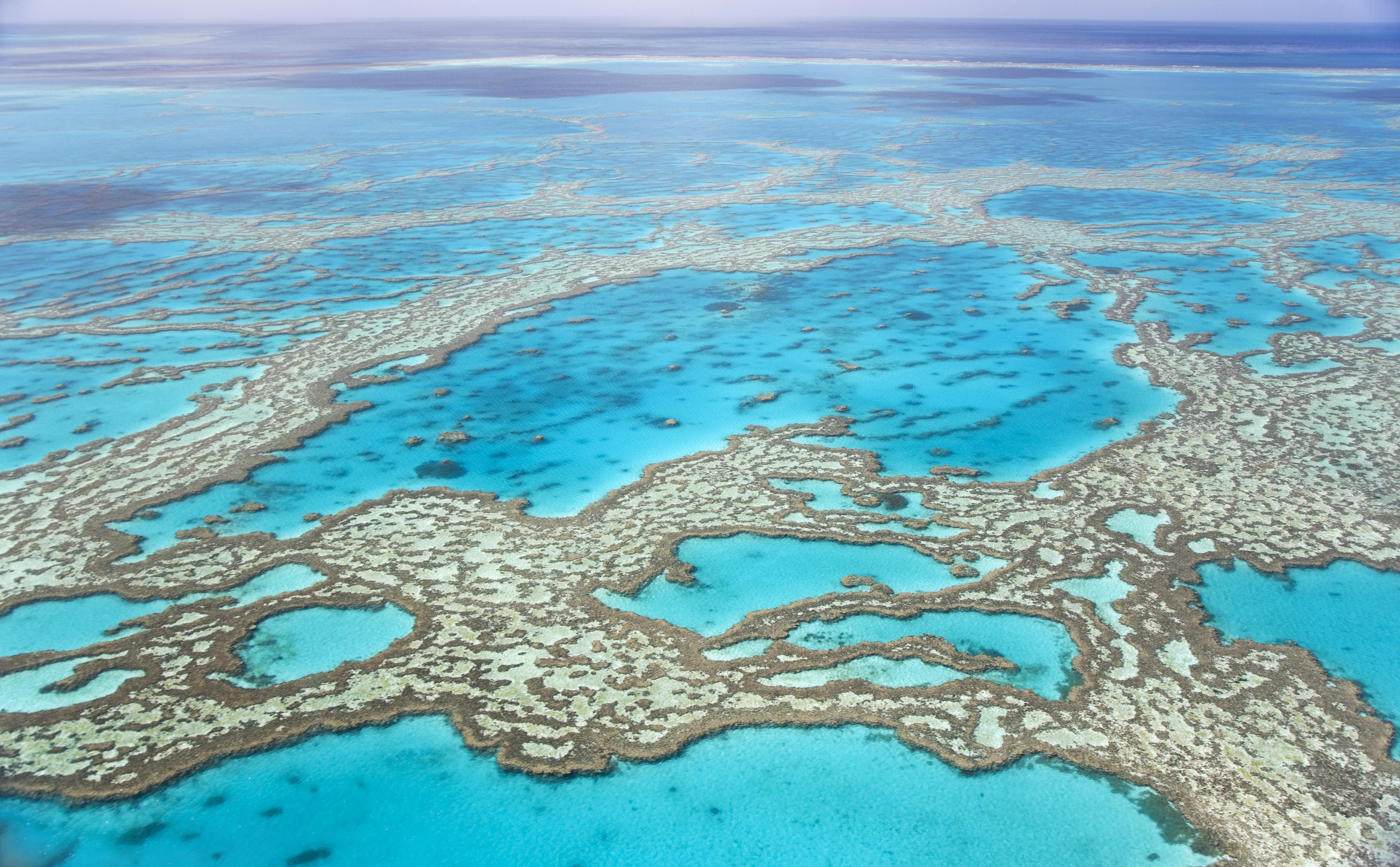 tours for the great barrier reef