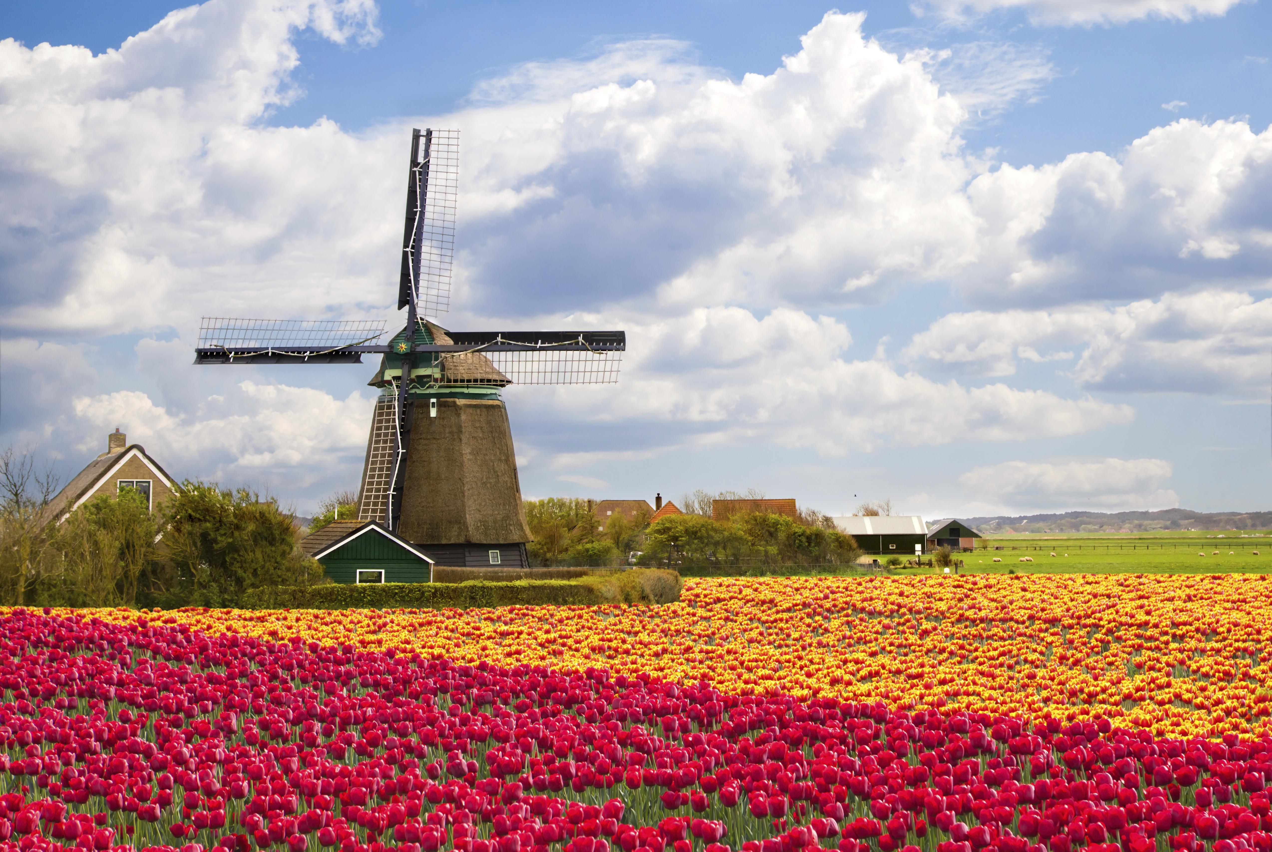 amsterdam package tours