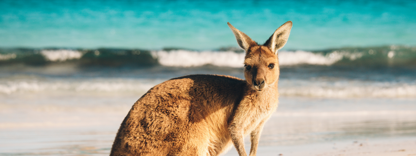 10 Best 14 Days Australia Tours & Trips - TourRadar