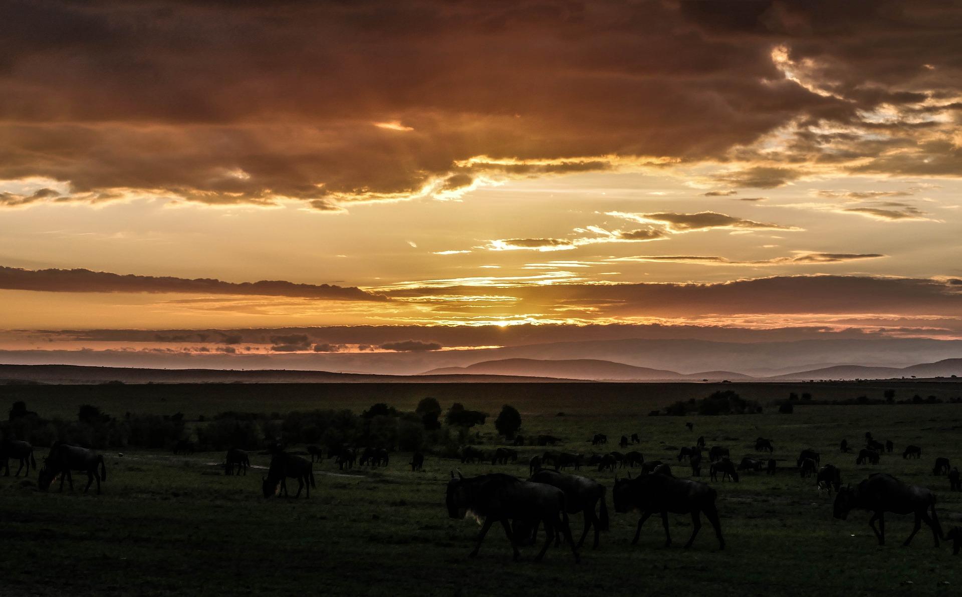 10 Best Luxury Serengeti National Park Tours & Trips 2024/2025 - TourRadar