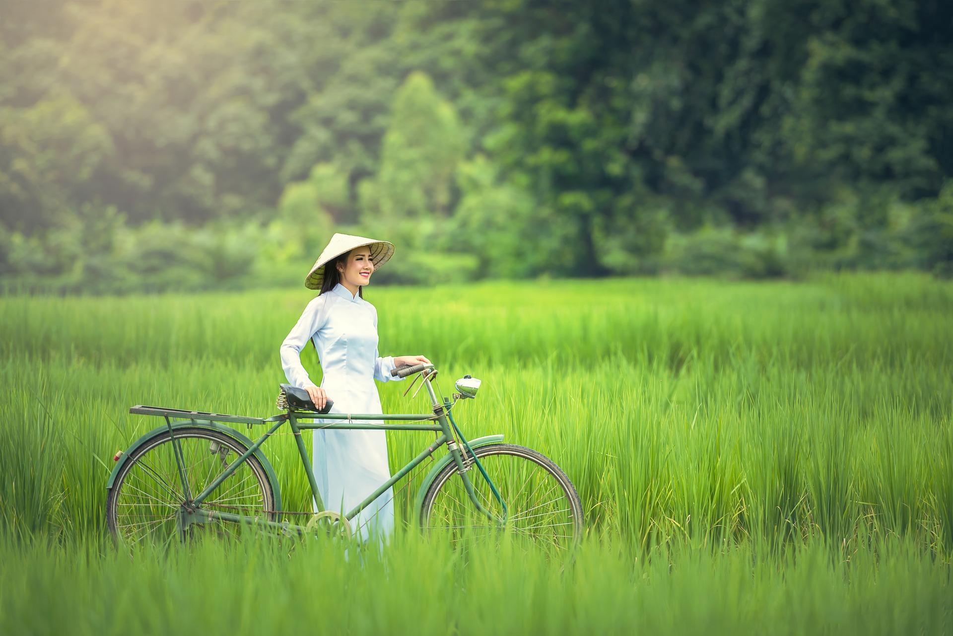 10 Best Bicycle Tours in Vietnam - Biggest Selection, Best Prices ...