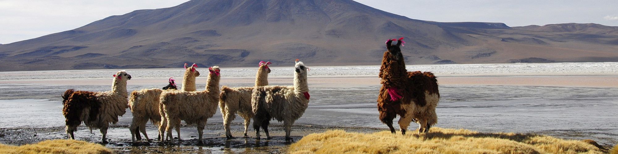 bolivia tour packages from dubai