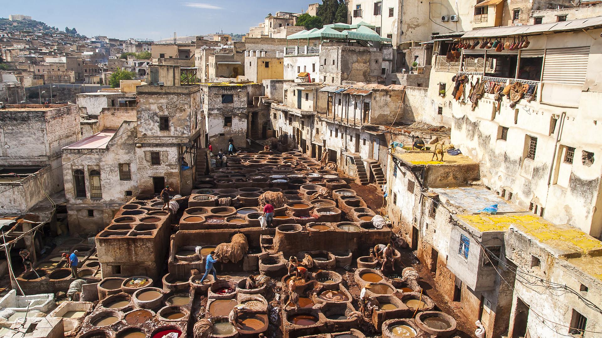 The Best Fes Tours & Trips 2025 - TourRadar