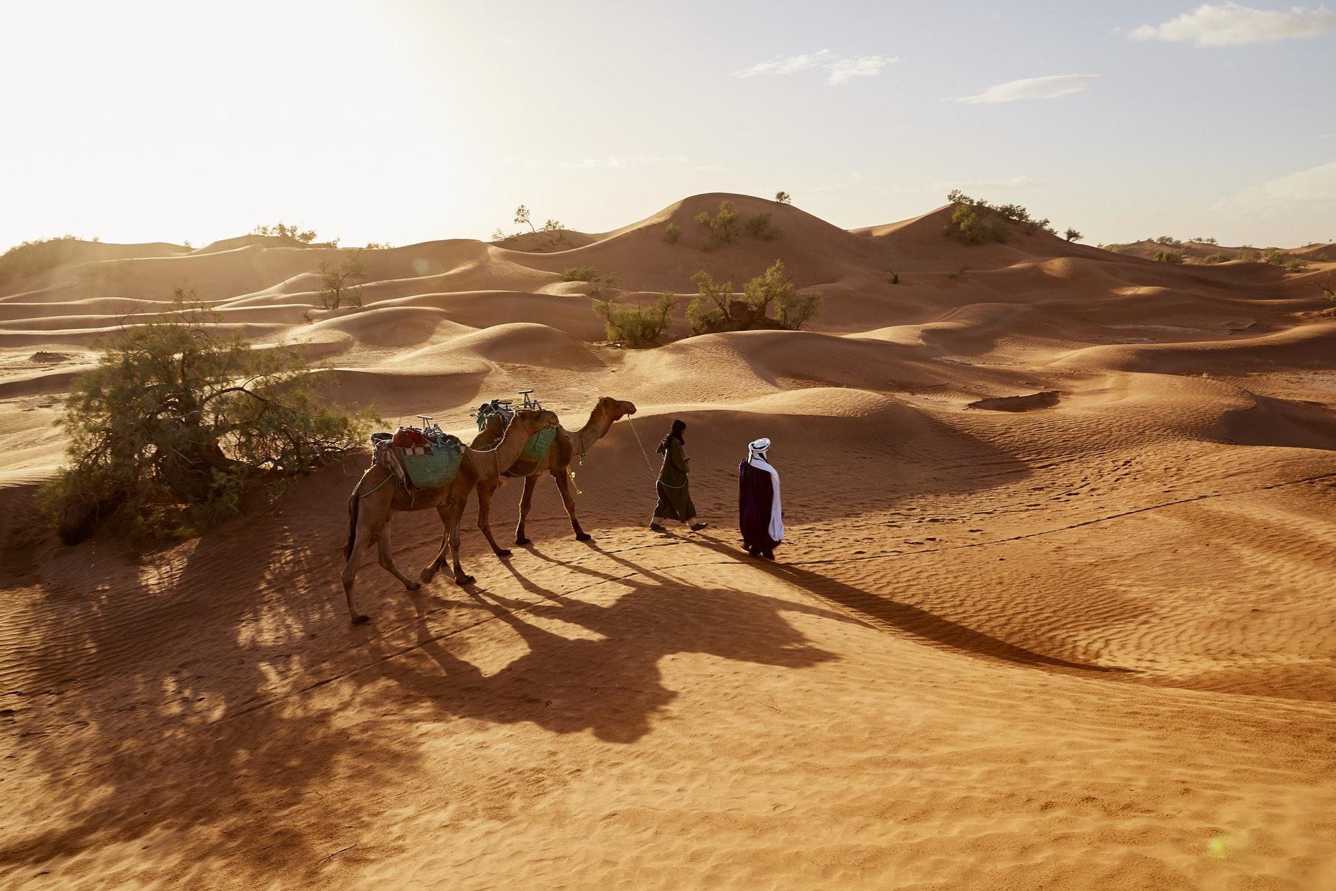 tourism sahara desert