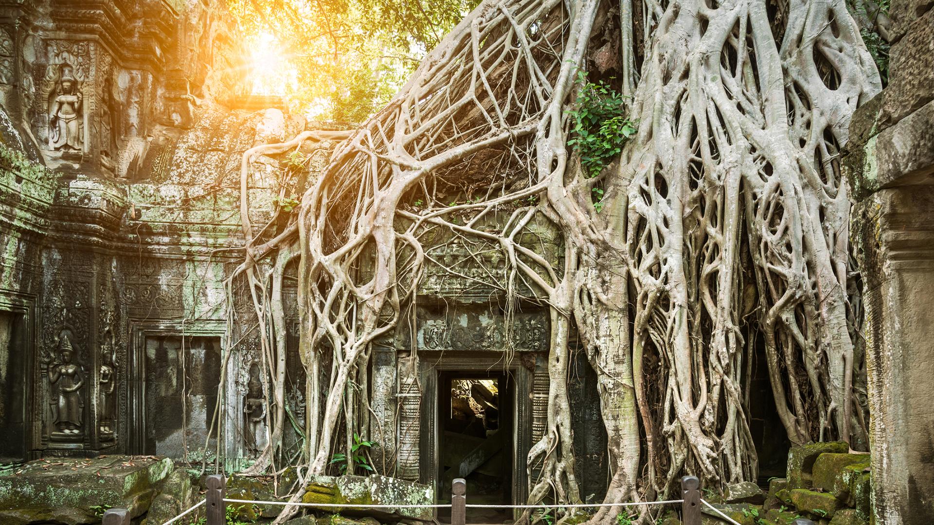 10 Best Angkor Wat Tours & Vacation Packages 2021/2022 - TourRadar