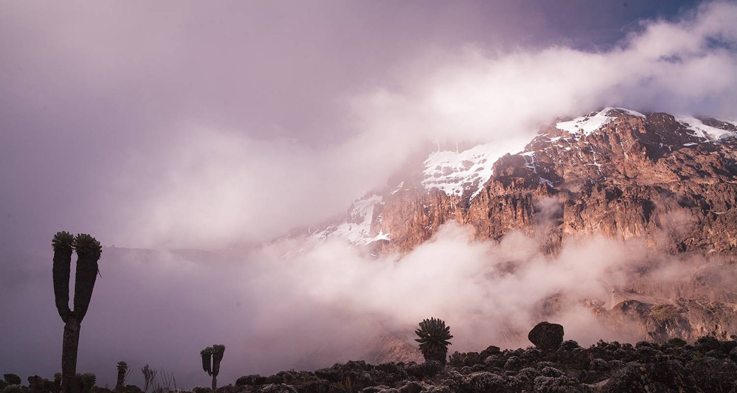 Climb Kilimanjaro: 8 Days Marangu Route - Altezza Travel