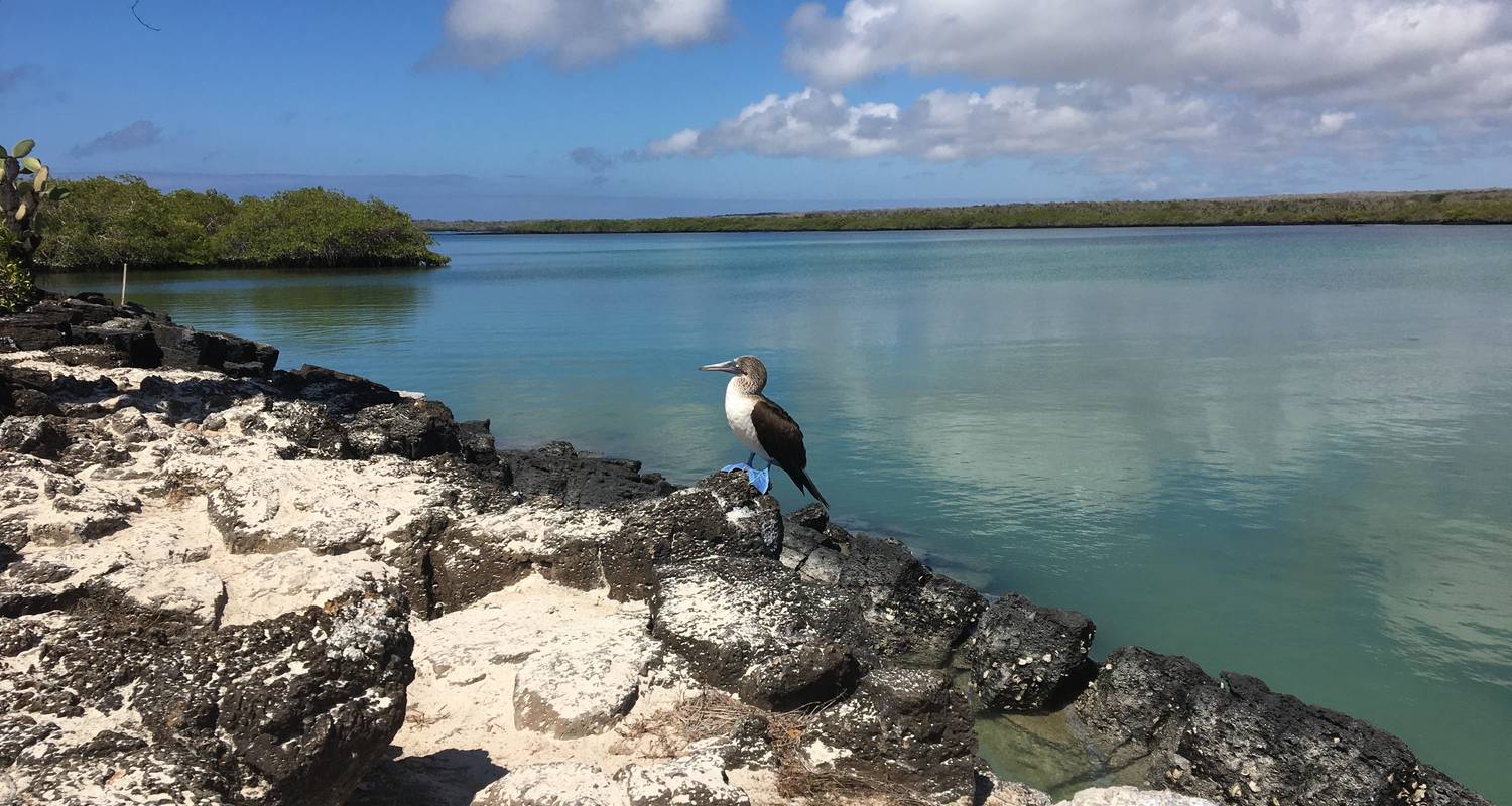 Galapagos Islands Tours & Trips