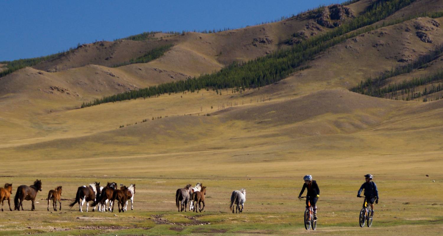 Cycling in Mongolia - Naadam Festival - Exodus Travels