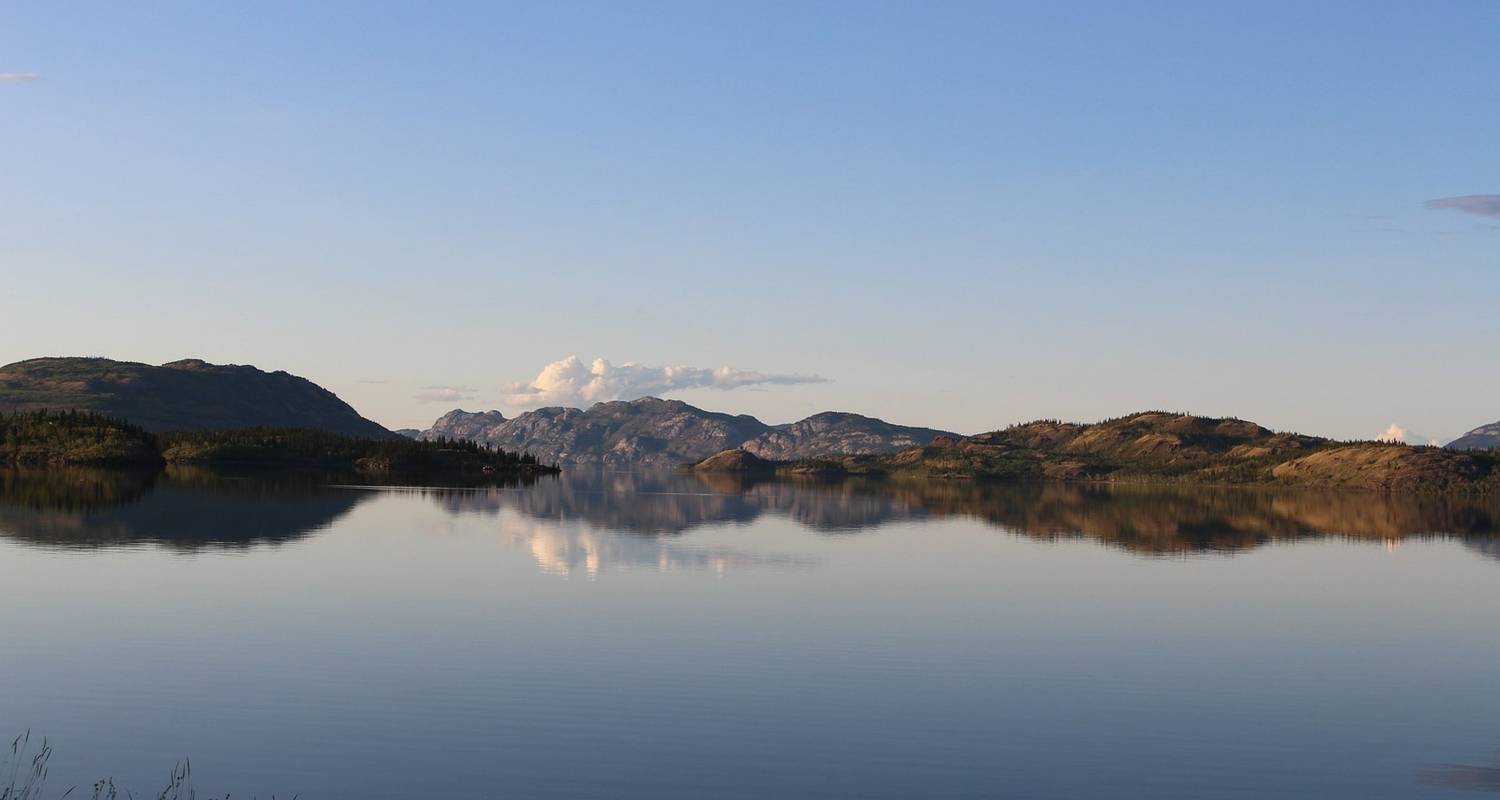 Wildlife Rondreizen in Yukon En Noordwest Territoria