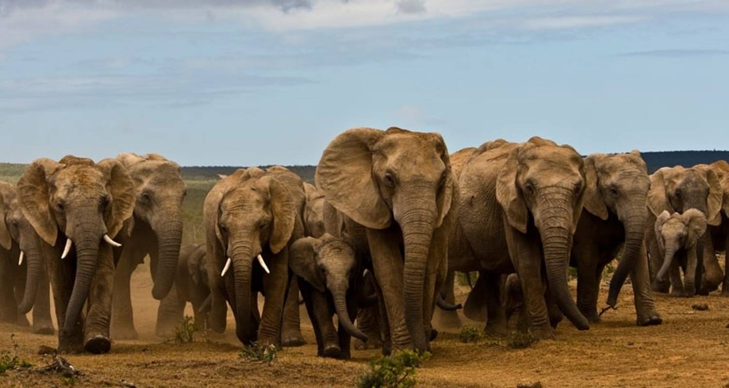 Cape Town to Johannesburg Camping Tour by Tokoloshi Expeditions TourRadar