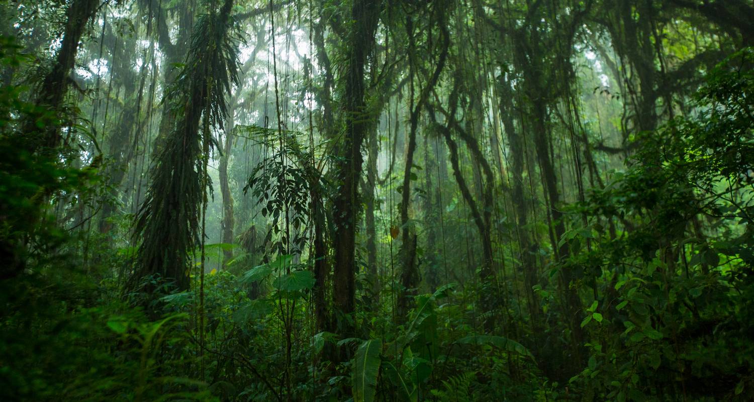 Costa Rica Panama Quest By G Adventures With 2 Tour Reviews Code Crpq Tourradar