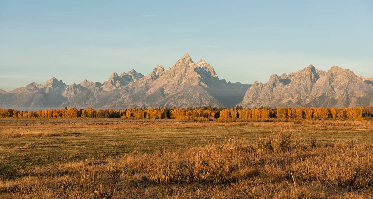 8-Day Grand Teton & Yellowstone Explorer