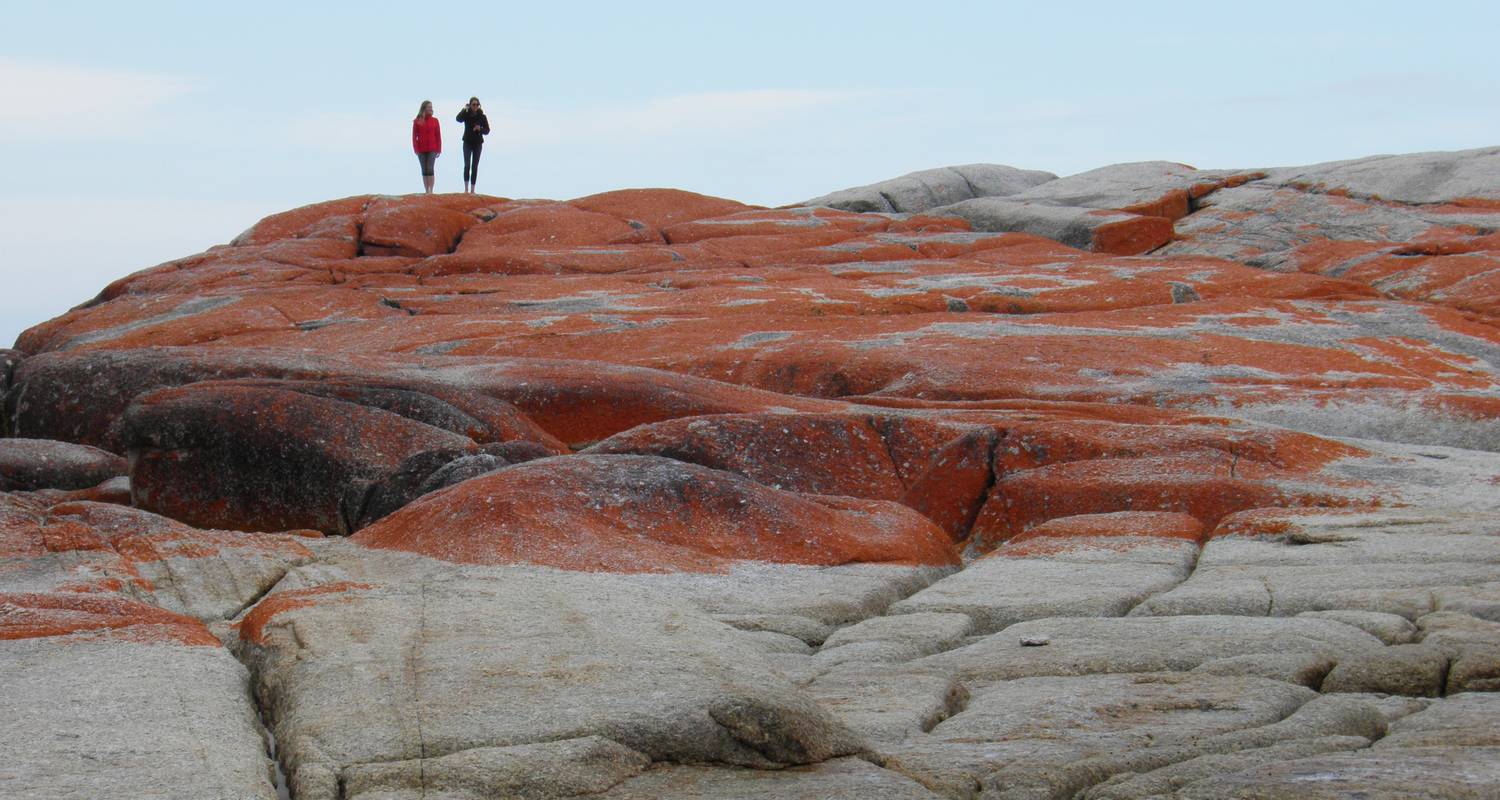 Super 7 –  Seven Day Tour of Tasmania by Under Down Under Tours