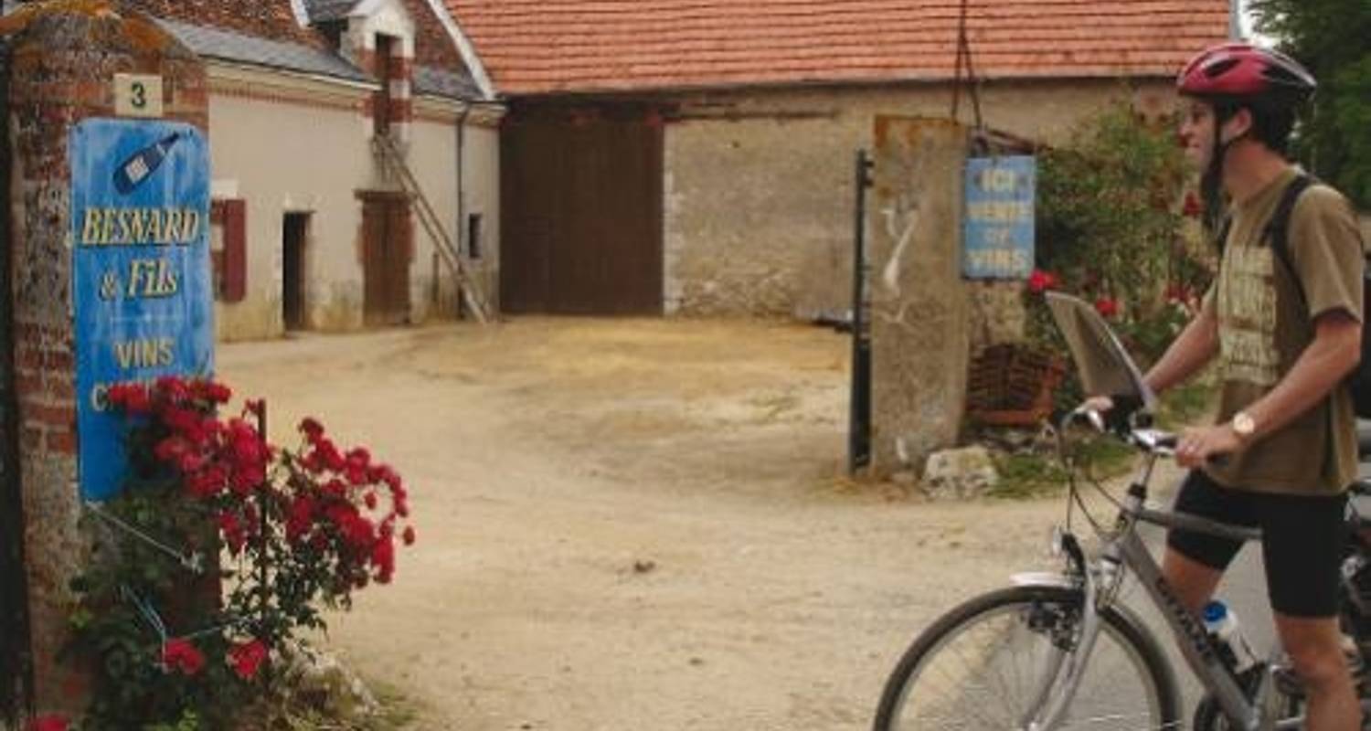 Vallée de la Loire classique à vélo - UTracks