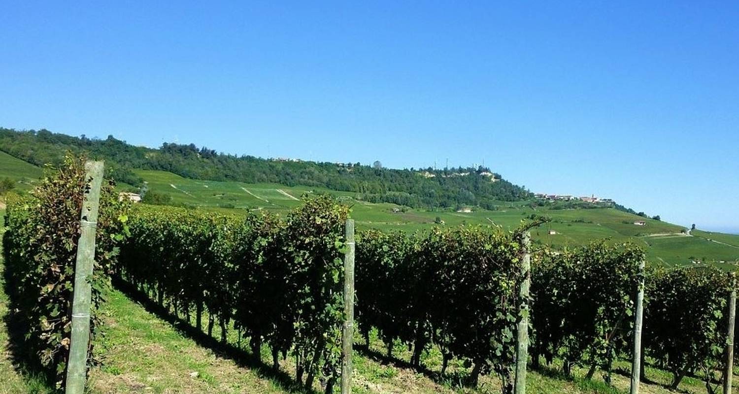 Piamonte: tierra de Barolo y Barbera - UTracks