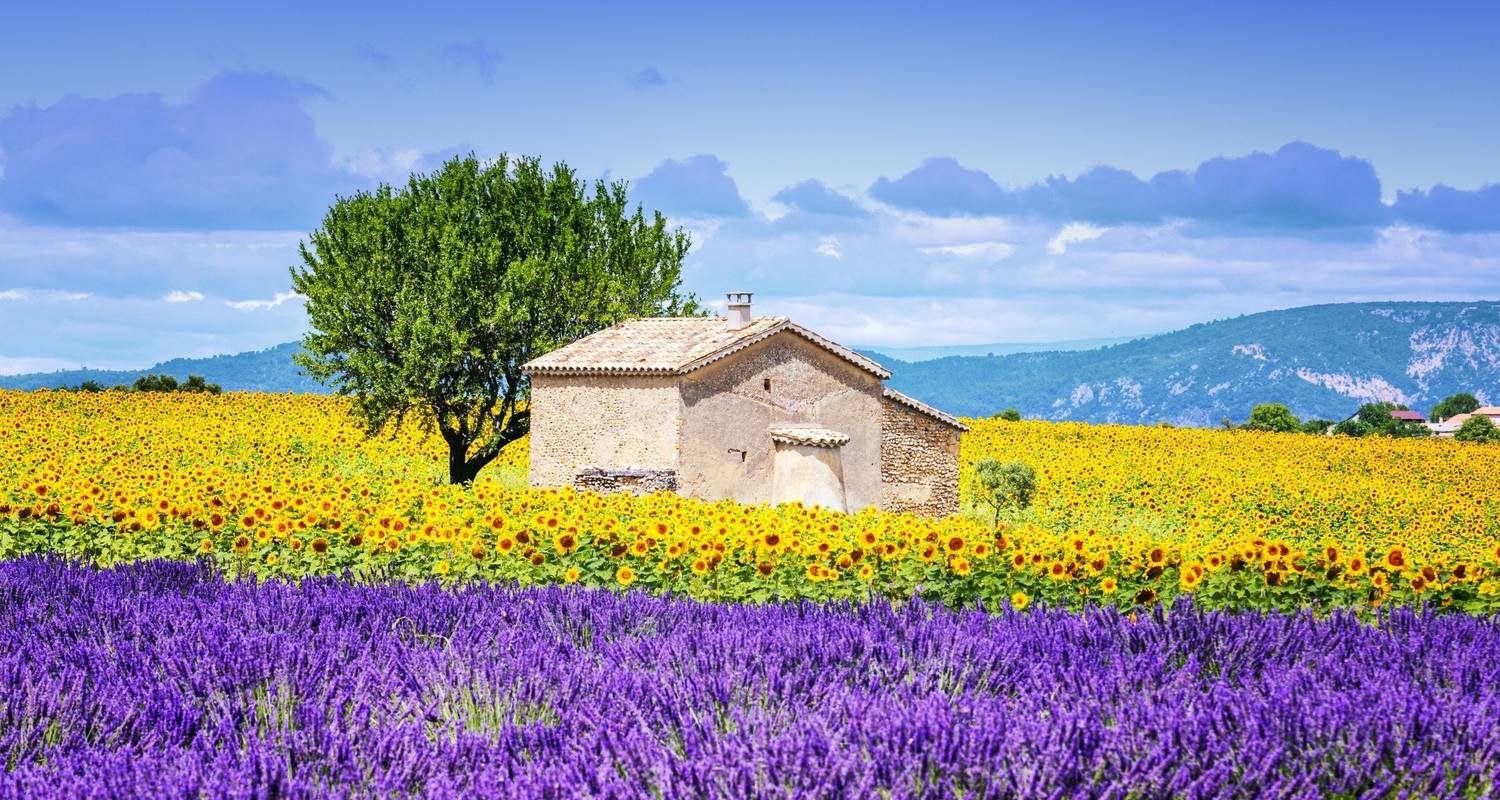 Wijnproeverij Rondreizen in Provence