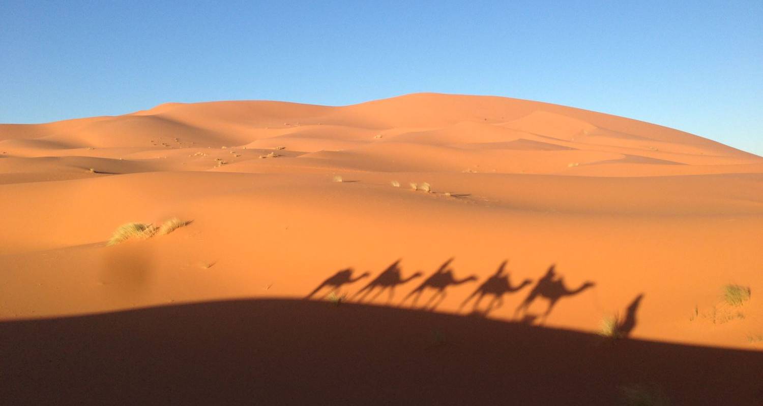 Marrakesch, Sahara und Schluchten (4 Tage) - Easygo Tours