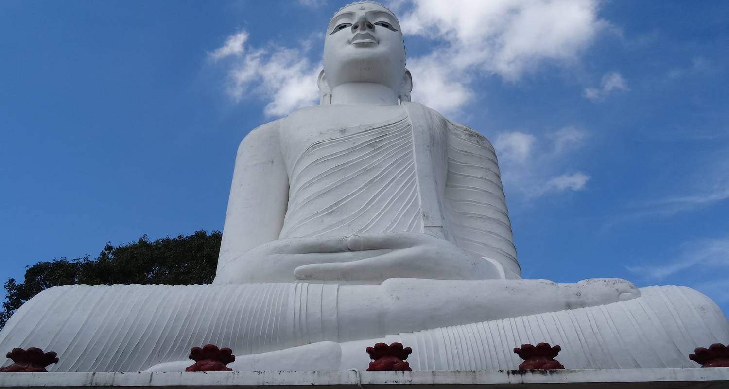 Circuit de 11 jours au Sri Lanka avec hébergement chez l'habitant - EuroLanka Travel