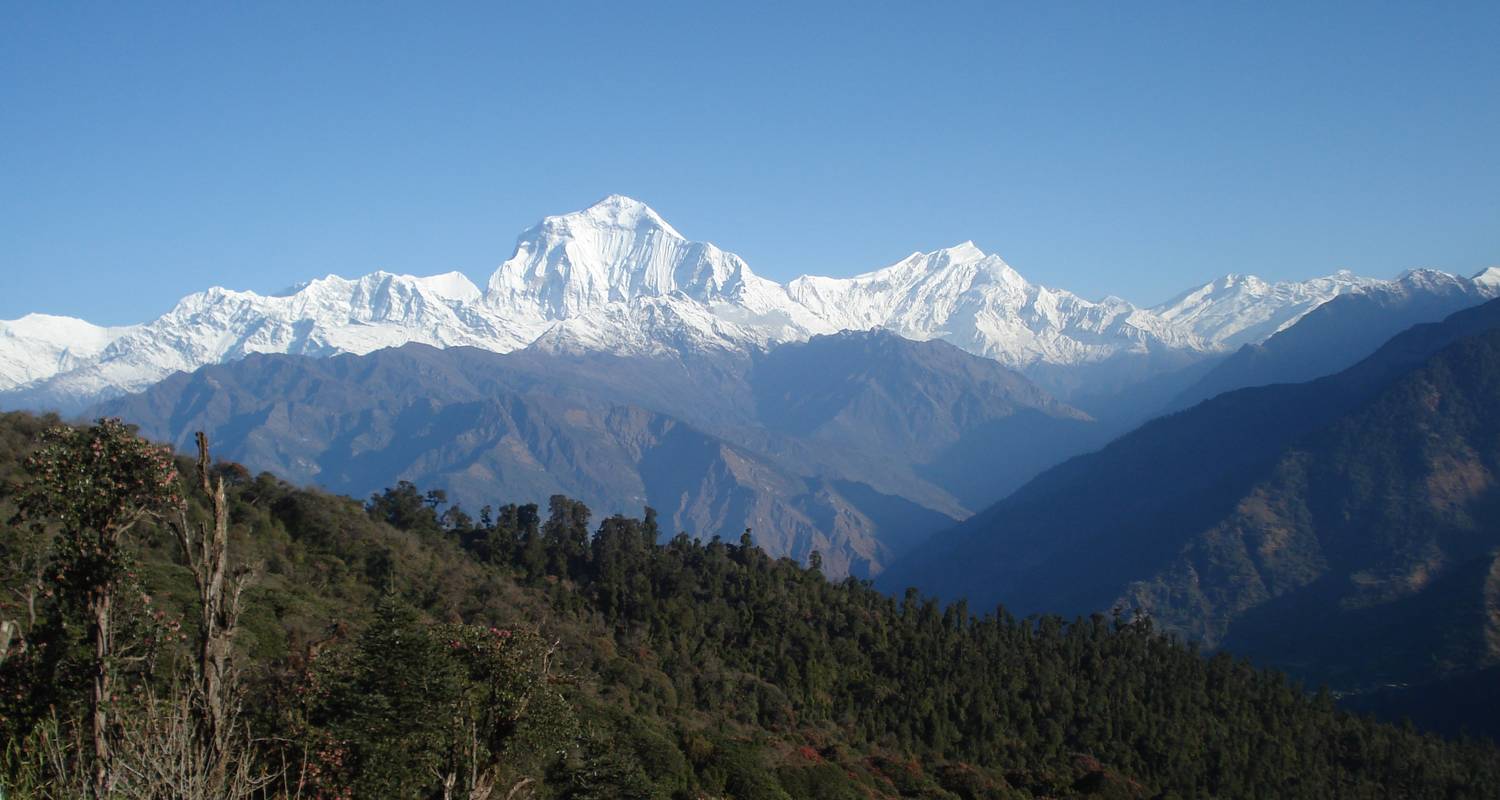 Annapurna Panorama Trek - Visit Himalaya Treks Pvt. Ltd