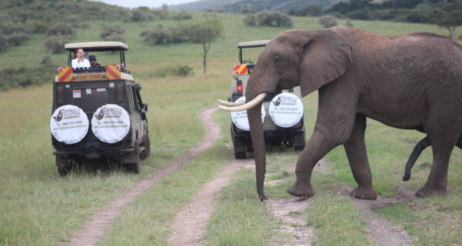 3 Days Incredible Masai Mara Big Five & Migration Private Land Cruiser