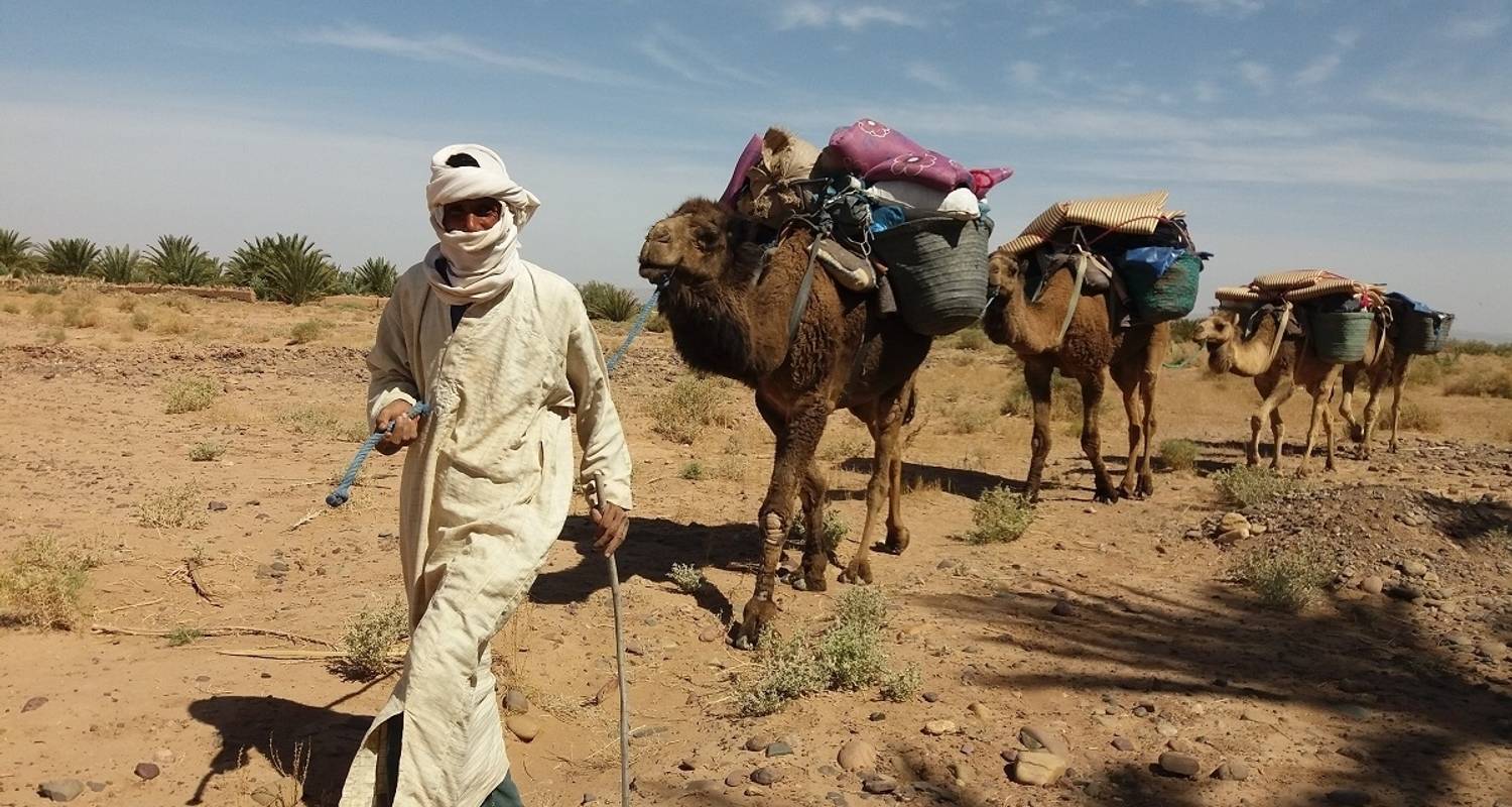 Sahara Trek Maroc 8 jours - Easygo Tours