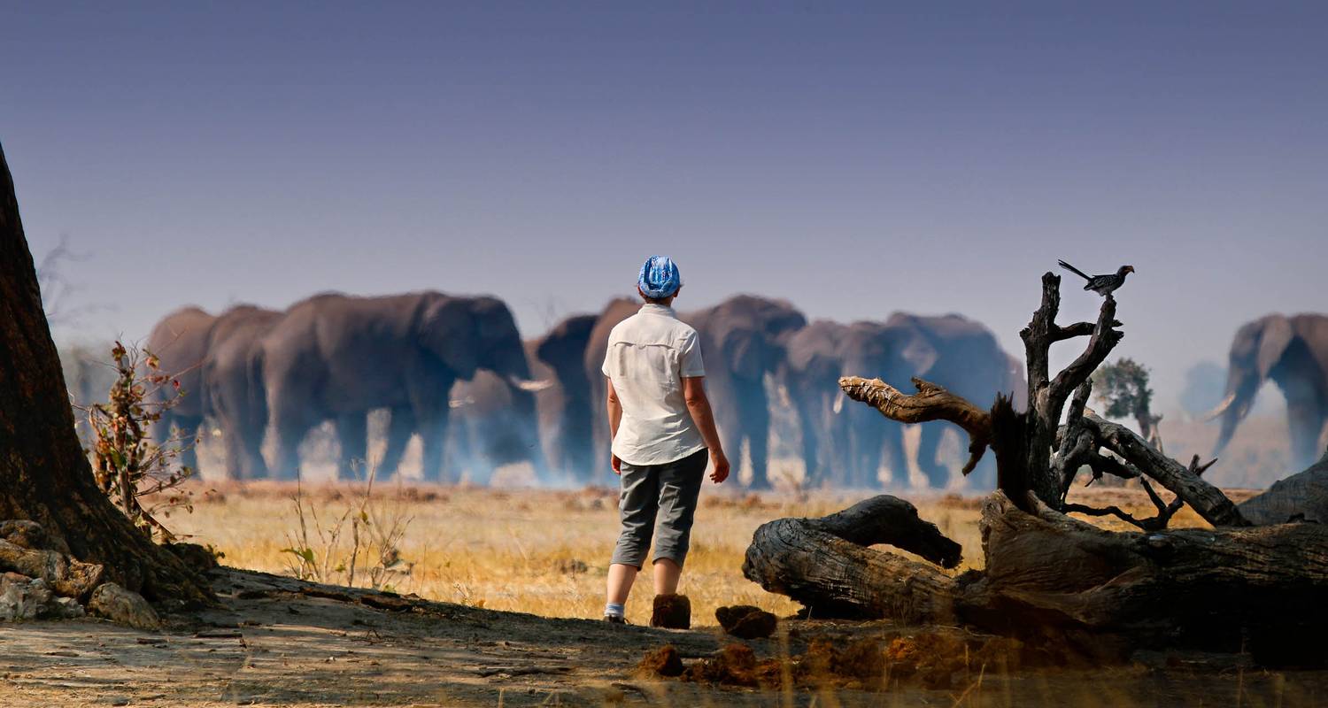 Chobe Wildlife Touren